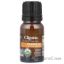 Picture of Organic Turmeric by Cliganic for Unisex - 0.33 oz Oil