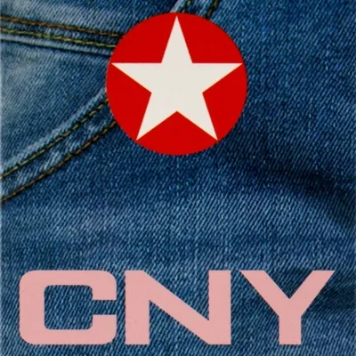 Picture for manufacturer CNY