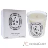 Picture of Ambre Scented Candle by Diptyque for Unisex - 6.5 oz Candle