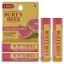 Picture of Pink Grapefruit Moisturizing Lip Balm Twin Pack by Burts Bees for Unisex - 2 x 0.15 oz Lip Balm