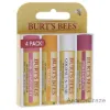 Picture of Superfruit Moisturizing Lip Balm Pack by Burts Bees for Unisex - 4 Pc 0.15oz Pomegranate Lip Balm, 0.15oz Coconut and Pear Lip Balm, 0.15oz Mango Lip Balm, 0.15oz Pink Grapefruit Lip Balm