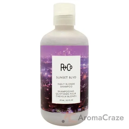 Picture of Sunset Blvd Blonde Shampoo by R+Co for Unisex - 8.5 oz Shampoo