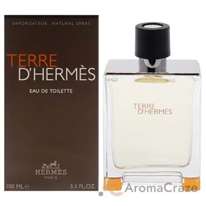 Picture of Terre DHermes by Hermes for Men - 3.3 oz EDT Spray