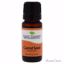 Plant Therapy Essential Oil Carrot Seed Unisex 0.33 oz