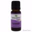 Plant Therapy Essential Oil Lavender Unisex 0.33 oz
