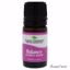 Plant Therapy Synergy Essential Oil Balance Essential Oil fo