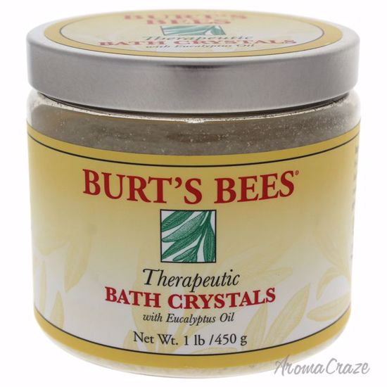 Burt's Bees Therapeutic Bath Crystal Body Wash Unisex 16 oz
