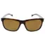 Picture of Arnette AN 4196 2087-83 Slacker - Havana Brown Polarized by Arnette for Men - 59-16-135 mm Sunglasses