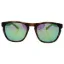 Picture of Arnette AN 4203 2152-3R Groove - Fuzzy Havana-Green by Arnette for Men - 55-20-135 mm Sunglasses