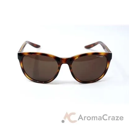 Picture of Arnette AN 4228 2087-73 Grower - Havana-Brown by Arnette for Men - 55-18-140 mm Sunglasses