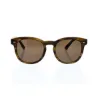 Picture of Dolce and Gabbana DG 4254 2964-73 - Striped Matte Tobacco-Brown by Dolce and Gabbana for Men - 51-20-145 mm Sunglasses