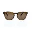 Picture of Dolce and Gabbana DG 4254 2964-73 - Striped Matte Tobacco-Brown by Dolce and Gabbana for Men - 51-20-145 mm Sunglasses