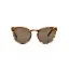 Picture of Dolce and Gabbana DG 4285 3052-73 - Brown-Brown by Dolce and Gabbana for Men - 51-21-140 mm Sunglasses