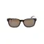 Picture of Giorgio Armani AR 8049 5026-53 Frames Of Life - Havana-Dark Brown by Giorgio Armani for Men - 56-19-140 mm Sunglasses