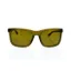 Picture of Giorgio Armani AR 8066 5439-73 - Transparent Green-Brown by Giorgio Armani for Men - 56-19-140 mm Sunglasses