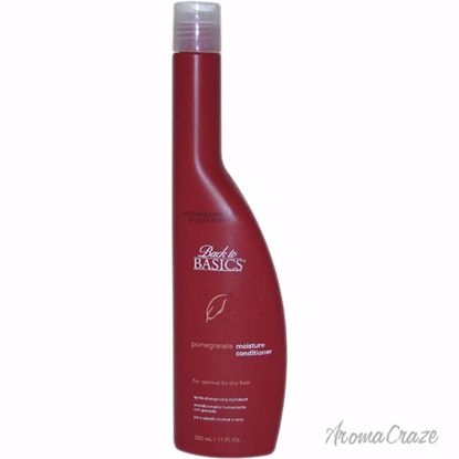 Back to Basics Pomegranate Moisture Unisex 11 oz