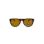 Picture of Arnette AN 4212 2087-83 Moniker - Havana-Brown Polarized by Arnette for Unisex - 55-20-130 mm Sunglasses