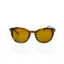 Picture of Giorgio Armani AR 8060 5404-53 Frames of Life - Striped Matte Light Brown-Brown by Giorgio Armani for Unisex - 50-21-145 mm Sunglasses
