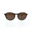 Picture of Giorgio Armani AR 8073 5491-73 Frames Of Life - Matte Brown-Brown by Giorgio Armani for Unisex - 52-19-145 mm Sunglasses