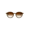 Picture of Giorgio Armani AR 8081 5527-13 - Matte Havana-Wood Nut-Brown Gradient by Giorgio Armani for Unisex - 48-21-145 mm Sunglasses