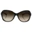 Picture of Dolce and Gabbana DG 4163P 1995-13 - Leopard-Brown Gradient by Dolce and Gabbana for Women - 57-17-135 mm Sunglasses