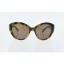 Picture of Dolce and Gabbana DG 4239 2891-73 - Havana Petroleum-Brown by Dolce and Gabbana for Women - 56-17-140 mm Sunglasses