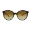 Picture of Emporio Armani AR 8043-H 5026-T5 - Dark Havana-Brown Polarized by Giorgio Armani for Women - 54-18-135 mm Sunglasses