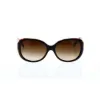 Picture of Giorgio Armani AR 8047 5049-13 - Top Black Havana-Brown Gradient by Giorgio Armani for Women - 56-16-140 mm Sunglasses