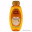 Garnier Whole Blends Moroccan Argan & Camellia Oils Extracts