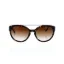 Picture of Giorgio Armani AR 8086 5026-13 - Dark Havanna-Brown Gradient by Giorgio Armani for Women - 55-19-140 mm Sunglasses