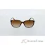 Picture of Polo Ralph Lauren PH 4097 513413 Brown Brown by Ralph Lauren for Women - 54-16-140 mm Sunglasses