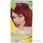 Garnier Nutrisse Nourishing Color Creme #66 True Red Hair Co