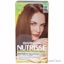 Garnier Nutrisse Nourishing Color Creme #60 Light Natural Br