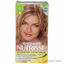 Garnier Nutrisse Nourishing Color Creme #82 Champagne Blonde