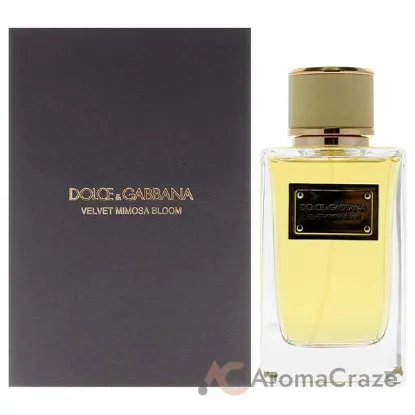 Picture of Velvet Mimosa Bloom by Dolce and Gabbana for Women - 5 oz EDP Spray