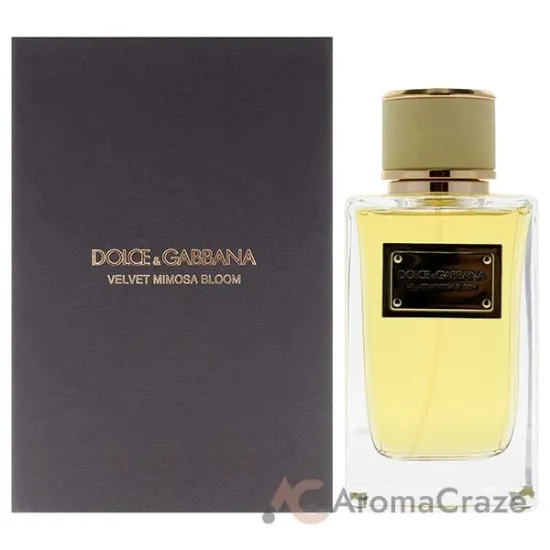Picture of Velvet Mimosa Bloom by Dolce and Gabbana for Women - 5 oz EDP Spray