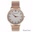 Andreas Osten AO-135 Distrig Rose Gold Stainless Steel Mesh 