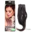 Picture of Straight Color Extension Kit - Chrome Mist by Hairdo for Women - 6 x 23 Inch Hair Extension