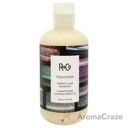 Picture of Television Perfect Hair Shampoo by R+Co for Unisex - 8.5 oz Shampoo
