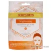 Picture of Brightening Biocellulose Gel Face Mask by Burts Bees for Women - 1 Pc Mask