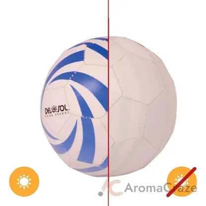 Picture of Mini Soccer Ball by DelSol for Unisex - 1 Pc Ball
