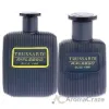 Picture of Riflesso Blue Vibe by Trussardi for Men - 2 Pc Gift Set 3.4 oz EDT Spray, 1oz EDT Spray