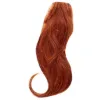 Picture of Straight Extension Kit - R28S Glazed Fire by Hairdo for Women - 22 Inch Hair Extension