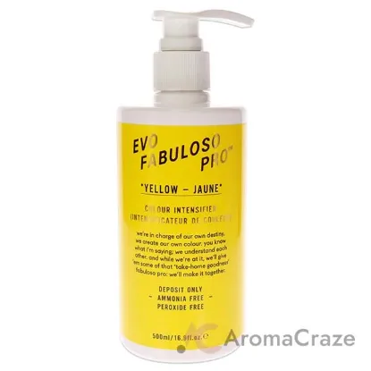 Picture of Pro Yellow Colour Intensifier by Evo for Women - 16.9 oz Treatment