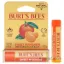 Picture of Sweet Mandarin Moisturizing Lip Balm by Burts Bees for Unisex - 0.15 oz Lip Balm