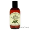 Picture of Shampoo - Nettle by Lerbolario for Unisex - 6.7 oz Shampoo