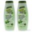Olive Oil Anti-Dandruff Scalp Scrub Shampoo by Palmers for U
