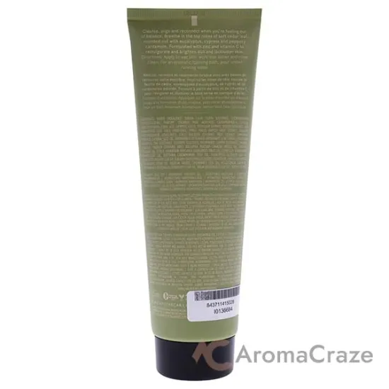 Picture of Be Well by Plant Apothecary for Unisex - 8.4 oz Body Wash