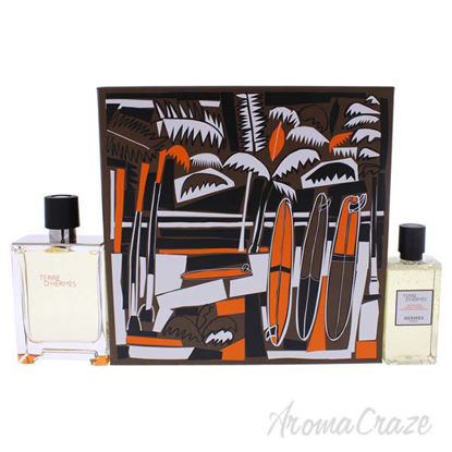 Terre DHermes by Hermes for Men - 2 Pc Gift Set 3.3oz EDT Sp