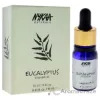 Picture of Essential Oil - Eucalyptus by Nykaa Naturals for Women - 0.33 oz Oil